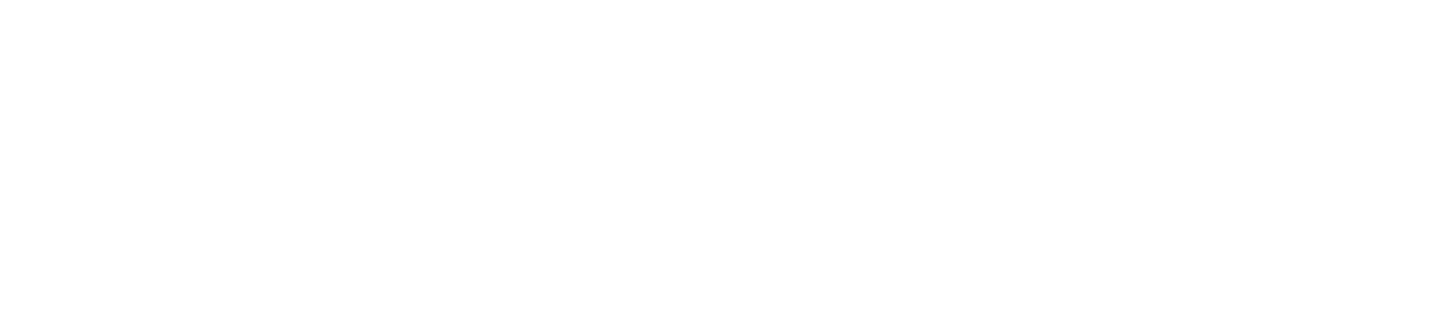 ADIRIGIR